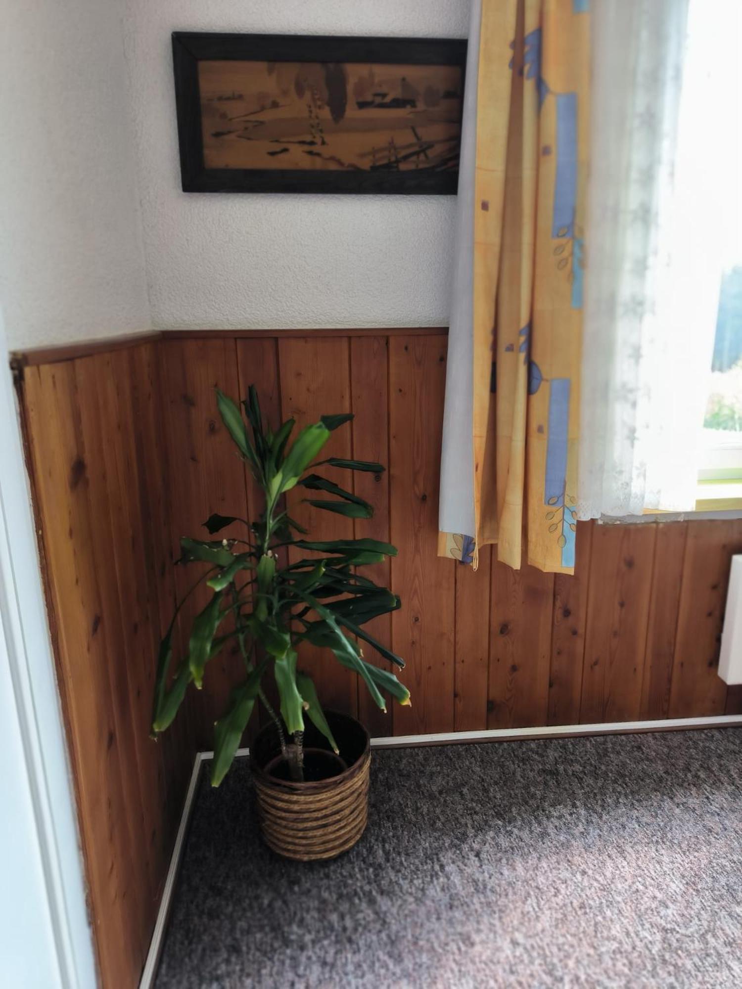 Chata Rybna 18 Pernink Zewnętrze zdjęcie